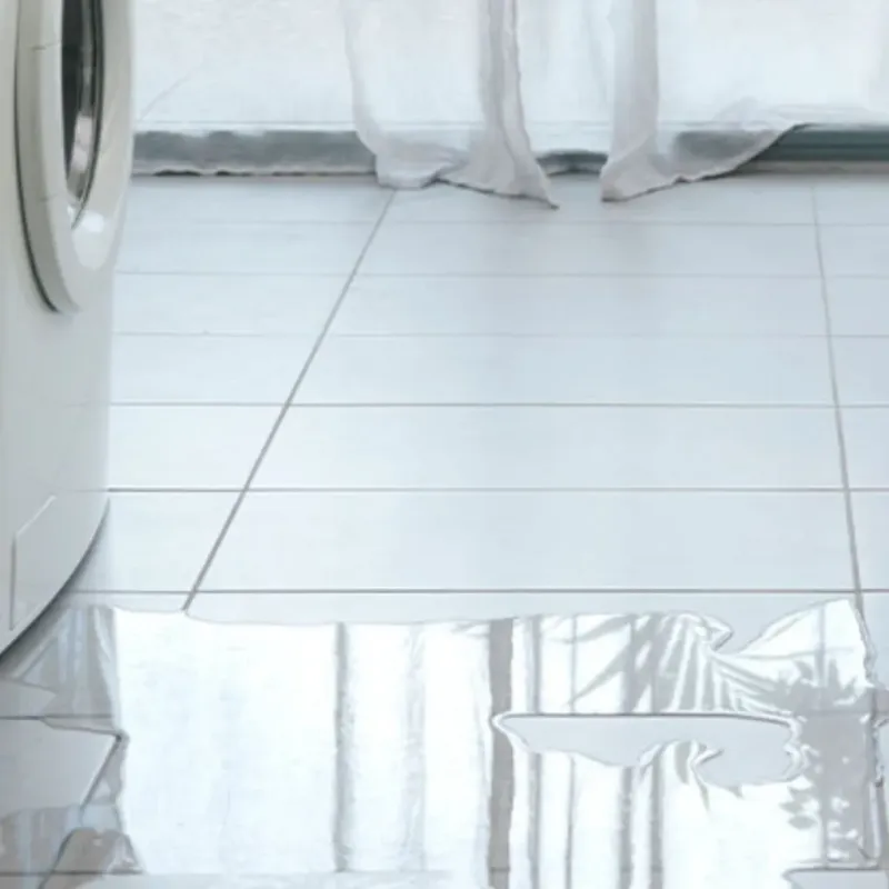 Appliance Leak Cleanup in Anacortes, WA